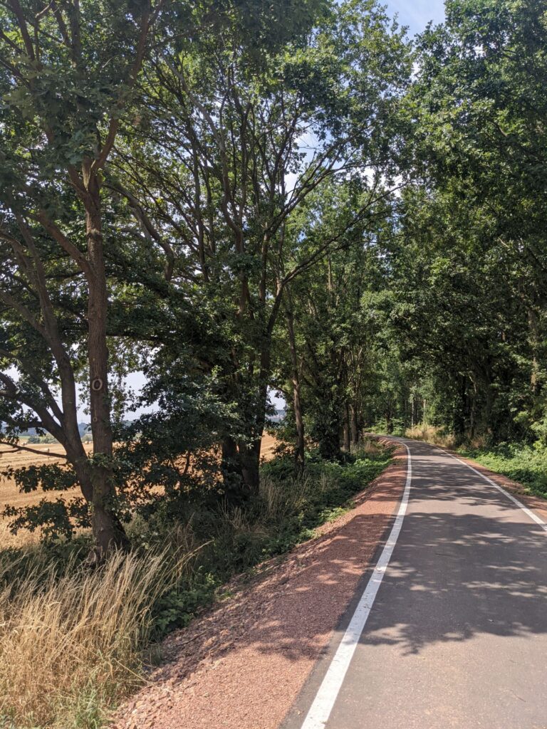 Blick auf einen leeren Fahrradweg