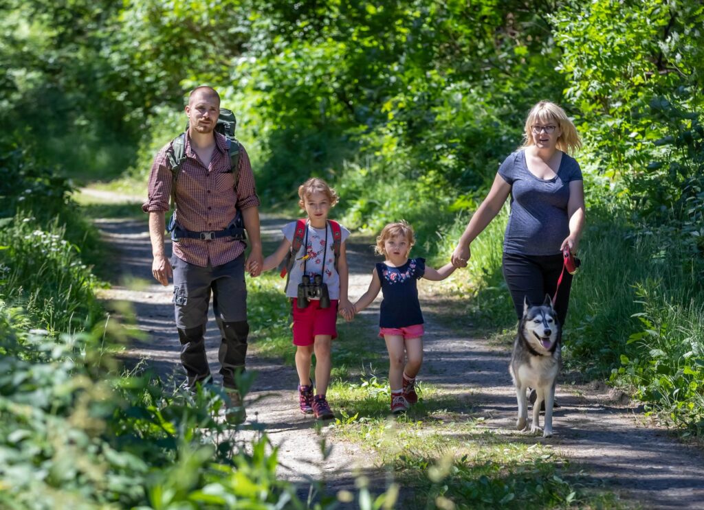Eine vierköpfige Familie wandert über einen Waldweg