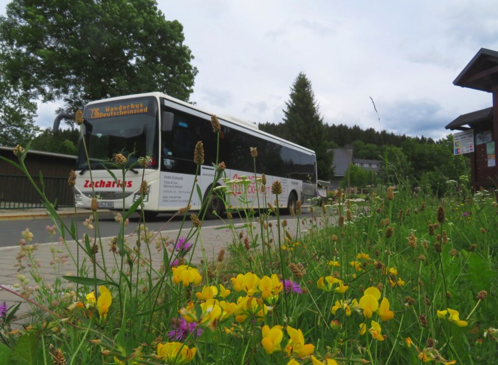 Der Wanderbus steht vor einer bunten Wiese