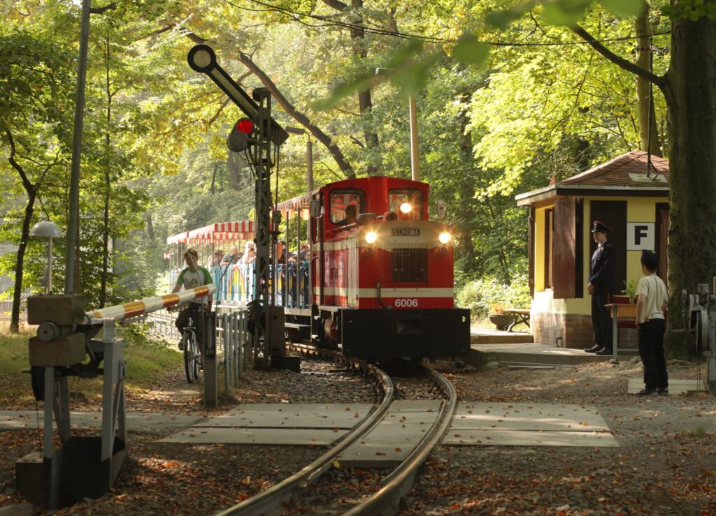 Parkeisenbahn fährt durch den Wald