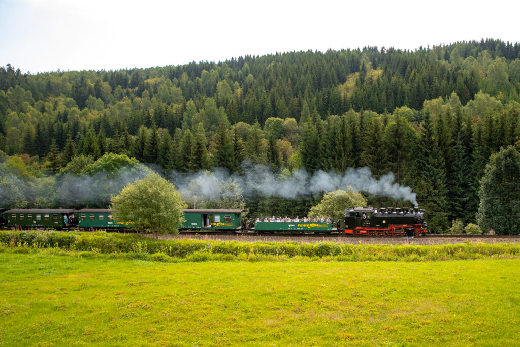 Historische Dampflok fährt durch grünes Waldpanorama