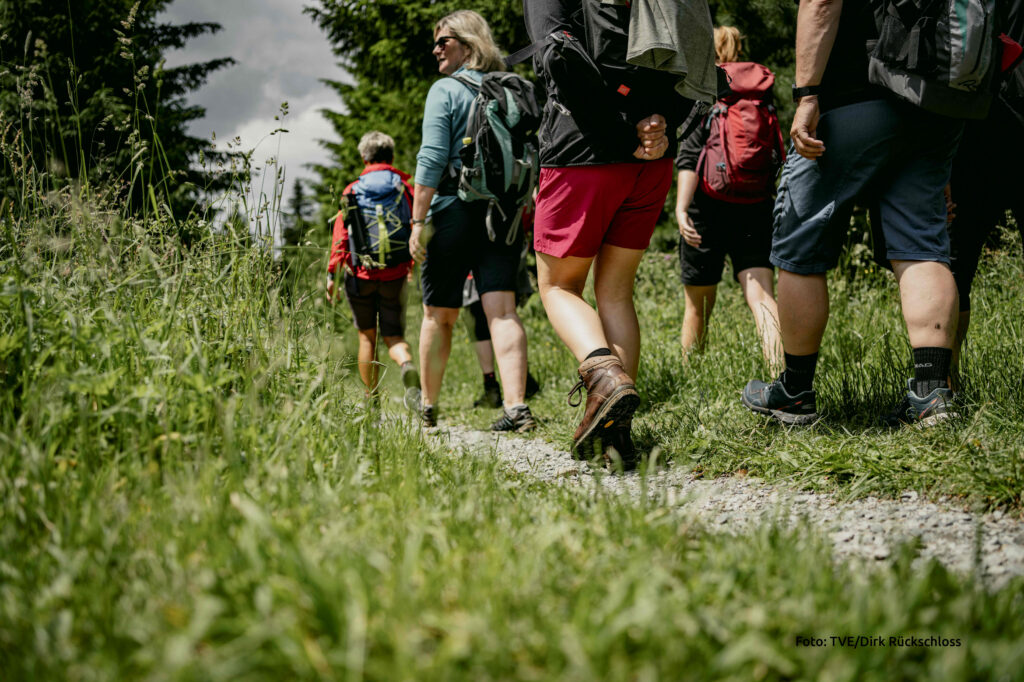 Männer und Frauen wandern im Erzgebirge
