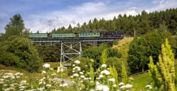 Oberwiesenthal Fichtelbergbahn01(c)brumm Vms Historische Fichtelbergbahn fährt über Viadukt inmitten von Blüten und Bäumen