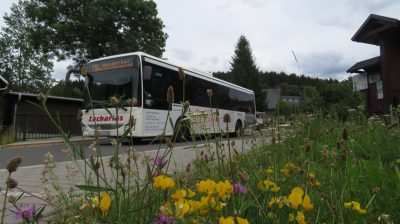 Wanderbus 736